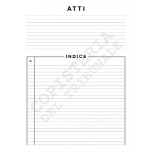 Cartelline “Atti” e “Documenti”