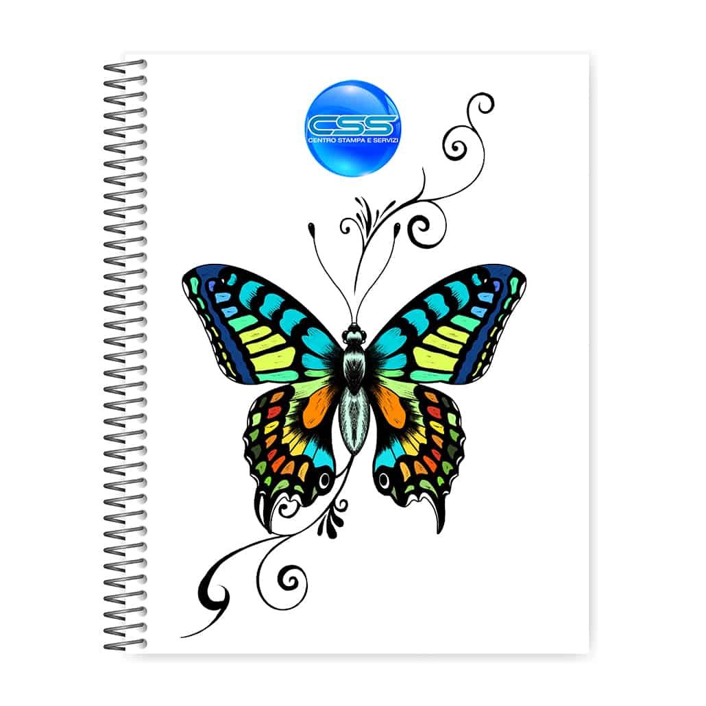 COLOR BUTTERFLY