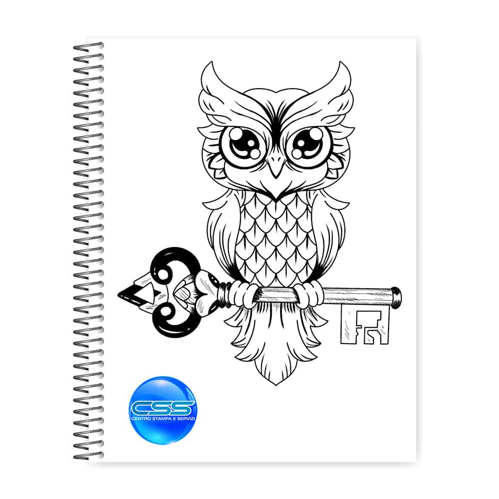 KEY OWL