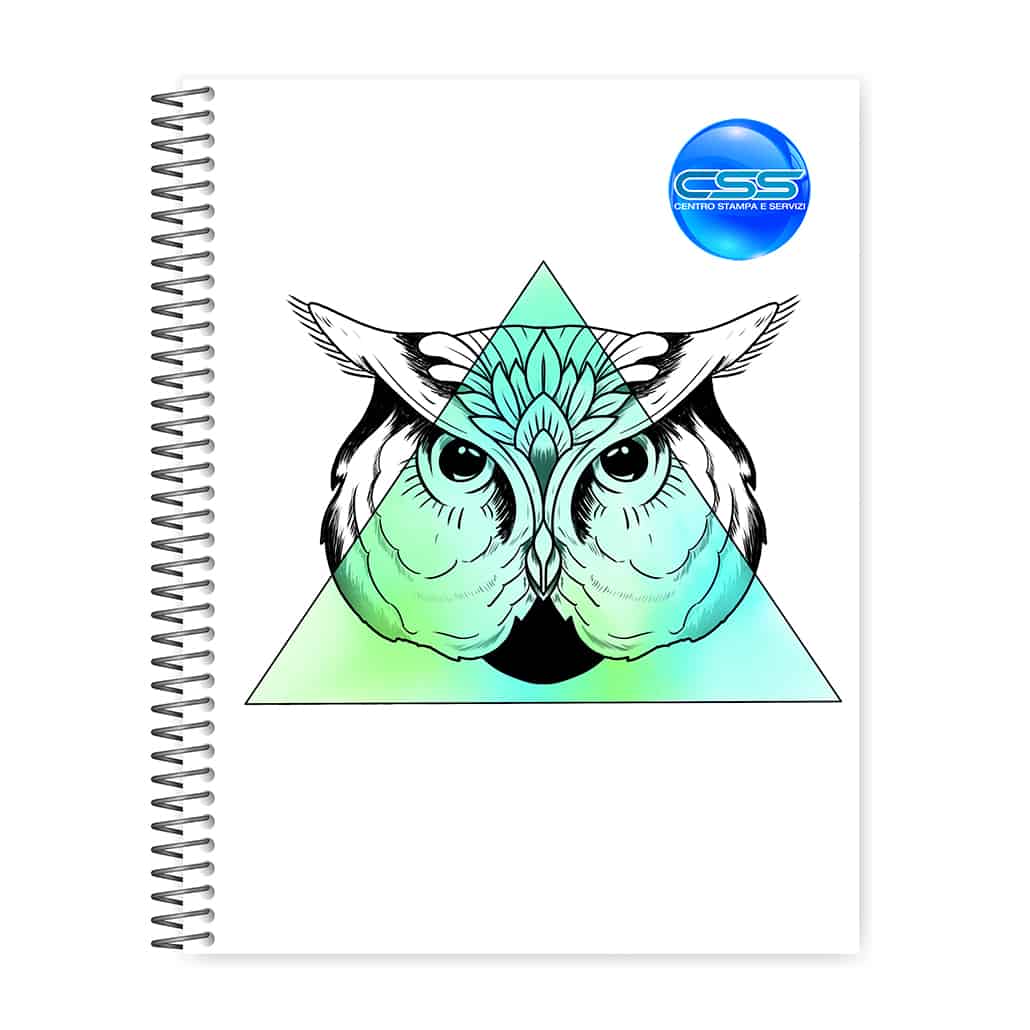 TRIANGLE OWL